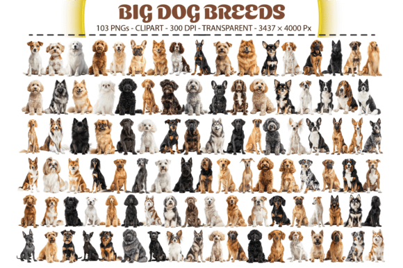 Download Big Dog Breeds Clipart – 103 PNGs - Png Collection