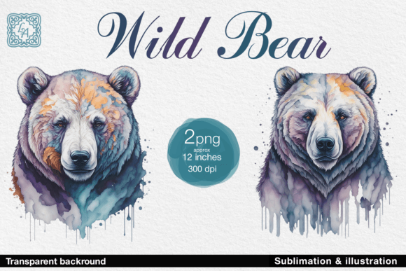 Download Wild Bear Illustration 2 PNG - Png Collection