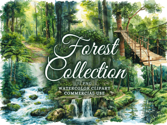 Download Watercolor Forest Clipart - Woodland Png - Png Collection