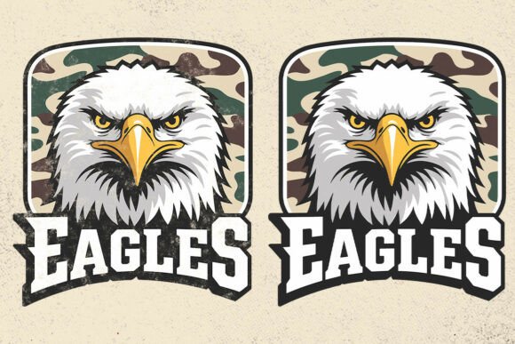 Download Eagles Png, Camo Eagles , Eagles Mascot - Png Collection